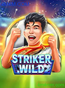 Descubra o Universo de Emoções em StrikerWILD: Uma Aventura Inovadora